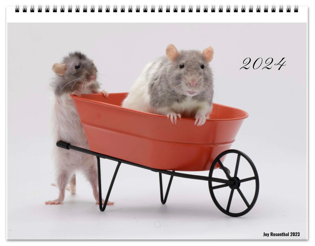 2024 Pet Rat Calendar Etsy