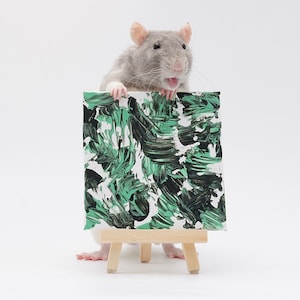 Pu&ograve; includere: Un ratto grigio che tiene una piccola tela con vernice astratta verde e nera su un cavalletto.