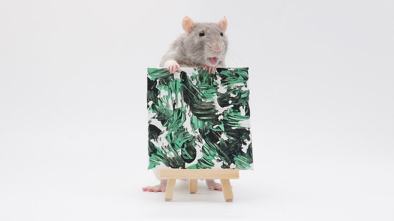 Pu&ograve; includere: Un ratto grigio che tiene una piccola tela con vernice astratta verde e nera su un cavalletto.