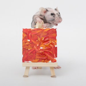 Pre-Made Rat Paintings