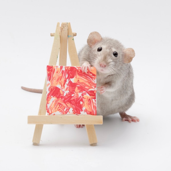 Rat Painting 2"x2"