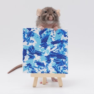 Pu&ograve; includere: Un ratto grigio che tiene una piccola tela con vernice astratta blu e bianca su un cavalletto.