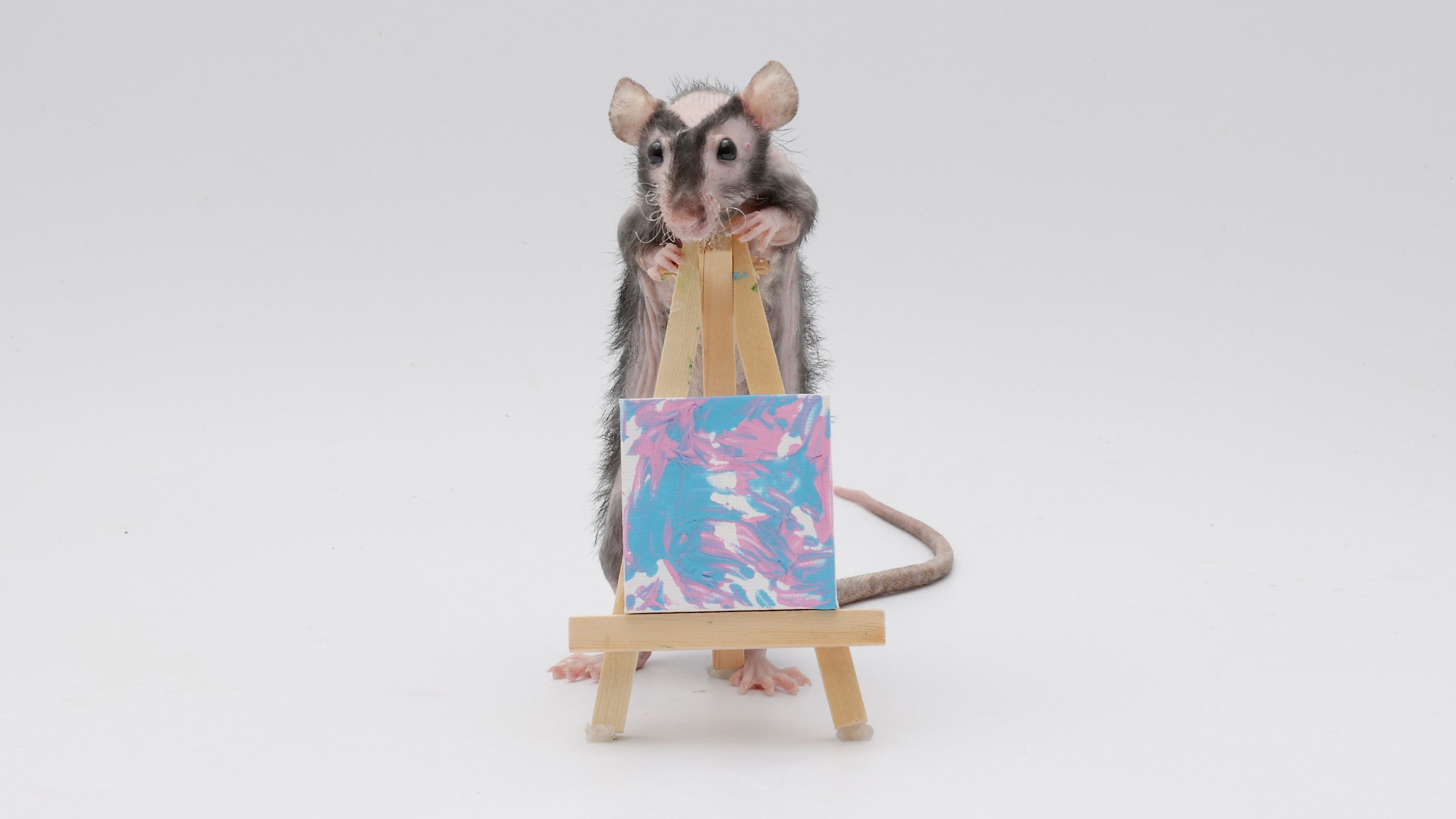 ネズミの絵 2インチ×2インチ - Etsy 日本