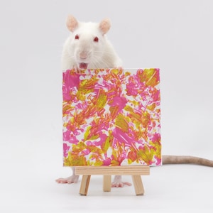 Pu&ograve; includere: Un ratto bianco si erge sulle zampe posteriori, tenendo una piccola tela con schizzi di vernice astratta rosa e gialla. La tela &egrave; su un cavalletto di legno.