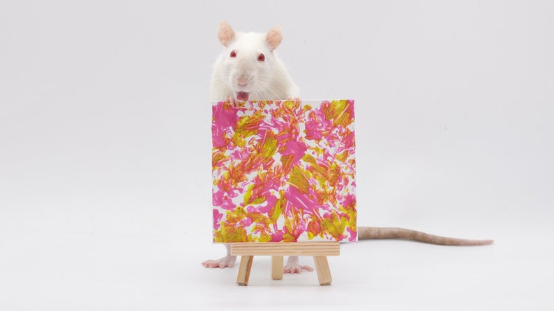 Pu&ograve; includere: Un ratto bianco si erge sulle zampe posteriori, tenendo una piccola tela con schizzi di vernice astratta rosa e gialla. La tela &egrave; su un cavalletto di legno.