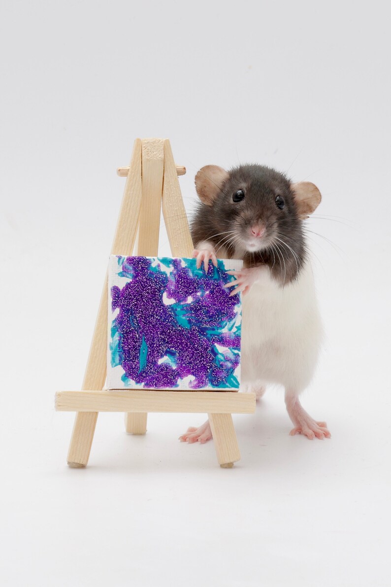 Premade Rat Paintings Etsy