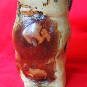 K&ouml;nnte beinhalten: Eine Holzvase mit einem nat&uuml;rlichen braunen und wei&szlig;en Holzmaserungsmuster. Die Vase hat eine einzigartige, organische Form und eine leicht ausgestellte &Ouml;ffnung.