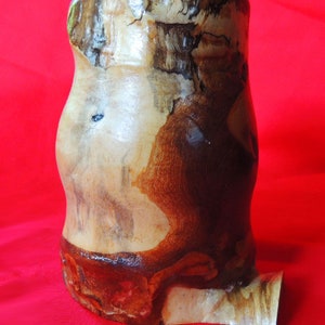 K&ouml;nnte beinhalten: Eine Holzvase mit einem nat&uuml;rlichen braunen und wei&szlig;en Holzmaserungsmuster. Die Vase hat eine einzigartige, unregelm&auml;&szlig;ige Form und einen Ausguss an der Seite.