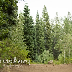 Green Forest with Dirt Pathway Digital Background, Photography Backgrounds, Digital Backdrop, Forest Background, Spring Background, Summer