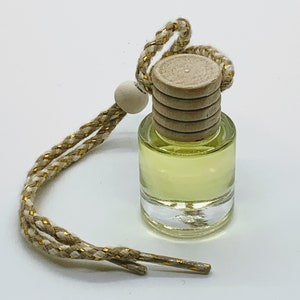 Glass Bamboo Lid Car Diffuser