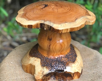 Large Wooden Mushroom Canister