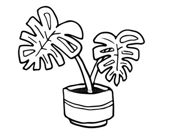 Monstera Svg Etsy