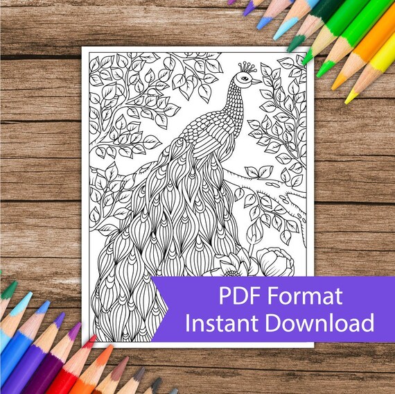 Featured image of post Peacock Coloring Pages Printable Top 20 bird coloring pages for preschoolers
