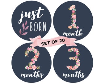 Baby Monthly Milestone Stickers (Set of 20) | Floral Milestone Stickers