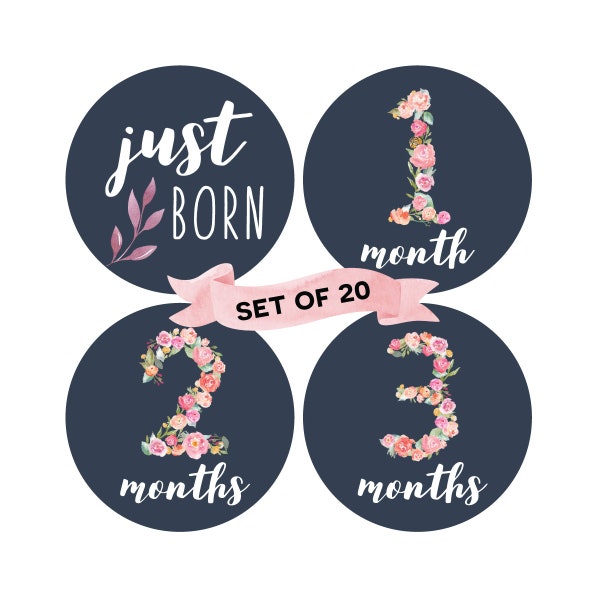 Baby Monthly Milestone Stickers (Set of 20) | Floral Milestone Stickers