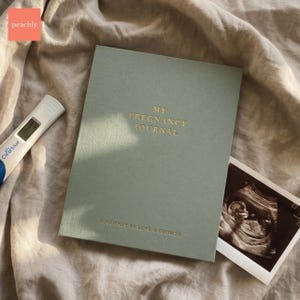May include: A sage green "My Pregnancy Journal" notebook with gold lettering and the text "A Journey of Love & Growth." A pregnancy test and ultrasound image are also present.