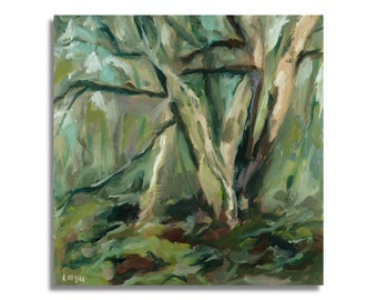 Old tree impression (plein air) - oil painting on wood.