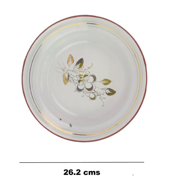 Rare Vintage Beautiful White Flower Design Enamel Plate With Red Trim Collectible Kitchenware Decor Enamel Dish Serving Plate i14-102