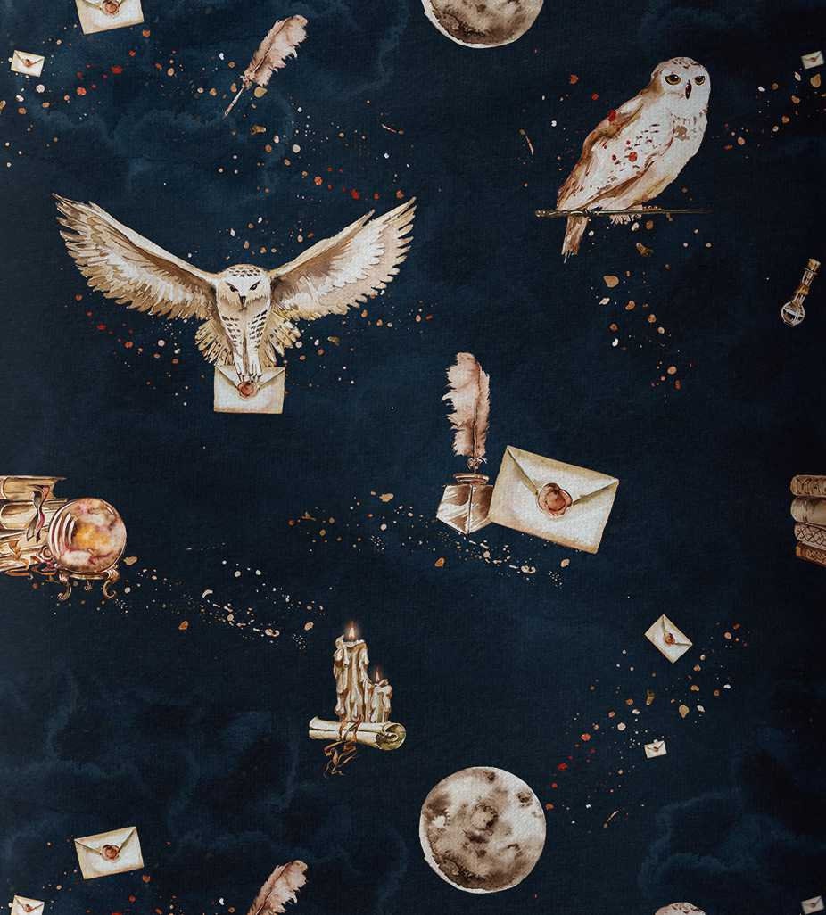 Owl Post Shipping, Wrapping Harry Potter Inspired 