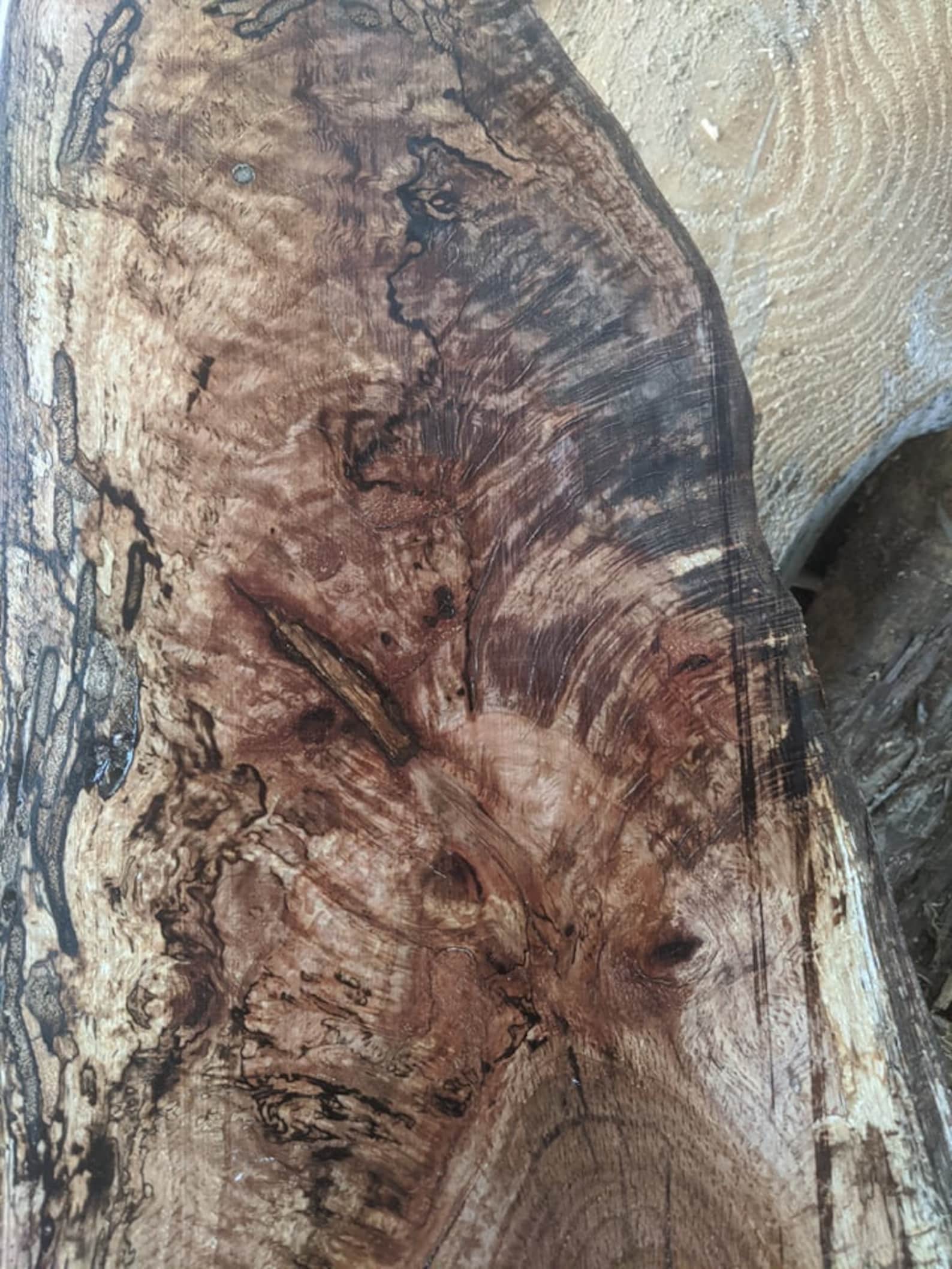 Spalted red oak and hackberry live edge wood slabs Etsy