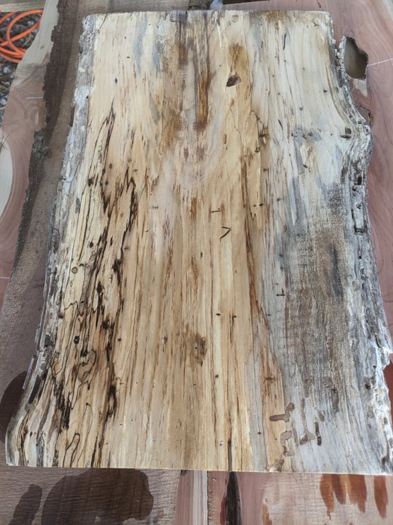 Spalted red oak and hackberry live edge wood slabs Etsy