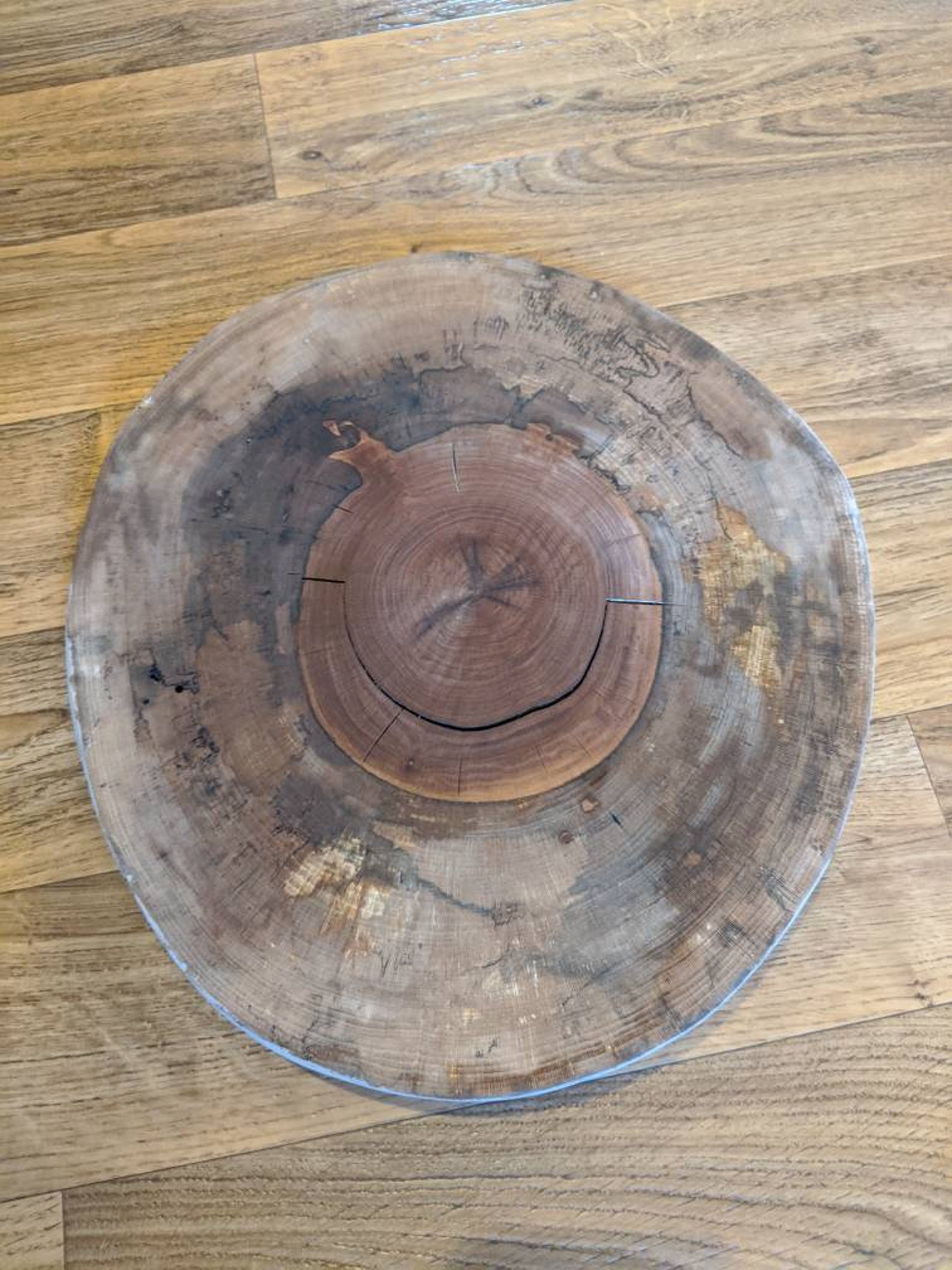 Kiln Dried Spalted Sycamore Cookies Rounds Slices Etsy