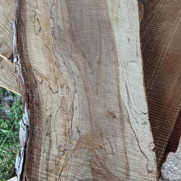 1 or 3/4 in Spalted Texas pecan live edge slabs rough cut dried