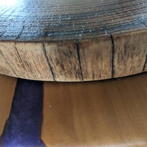 Black locust rounds cookie tree slices end grain