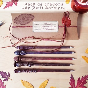 Wands pencils for sorcerer and sealed envelope, sorcerer's apprentice gift, handmade, surprise pouch