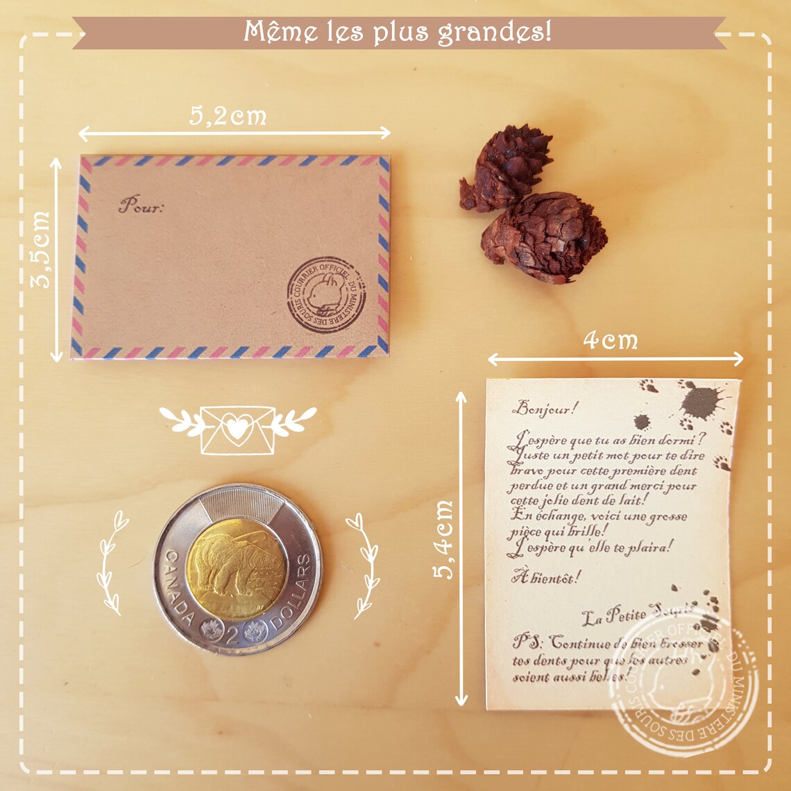 Elle Attire La Souris En 5 Lettres