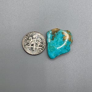 Kingman Turquoise Squiggly Cabochon