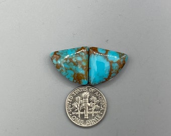 TRUSTONE Turquoise Blue/Brown  Cabochon Set (reconstructed)