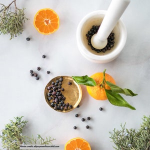 Juniper Berry - Blue - Italy