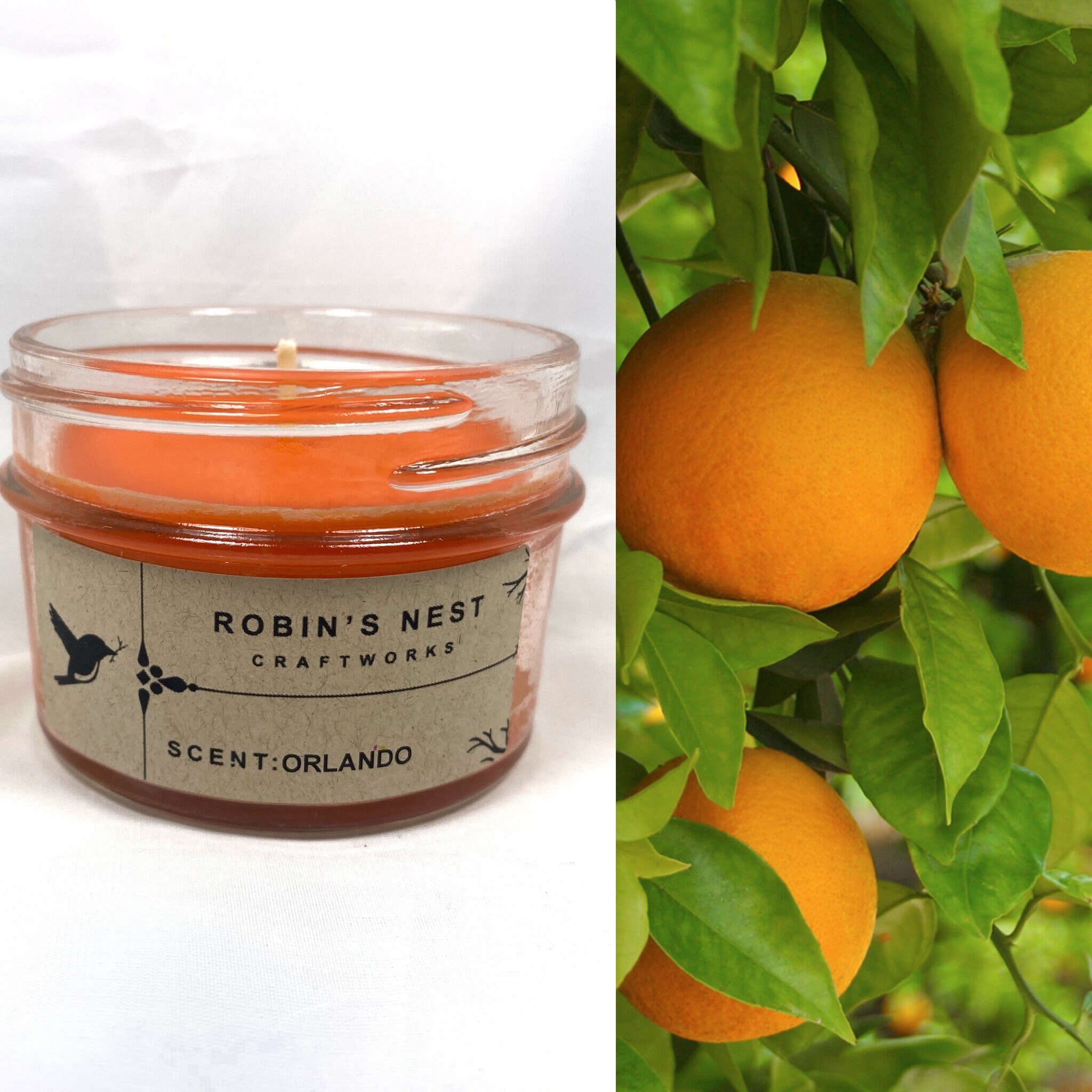 4oz Orange Blossom Candles Florida Scented Candles Orlando Etsy