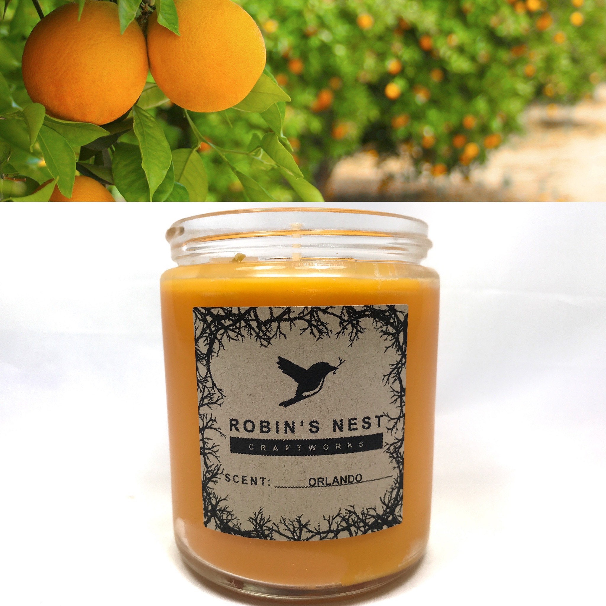 8oz Orange Blossom Candles Florida Scented Candles Orlando Etsy