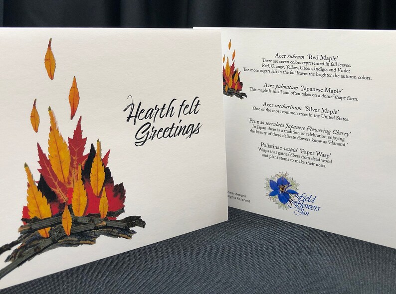 Hearth Felt Greetings Pressed Flower Card Etsy