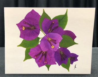 Spectacular Purple Bougainvillea Pressed Flower Card