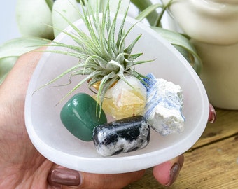 Selenite Charging Bowl: Crystal Cleansing, Altar Offering (4 Inch)