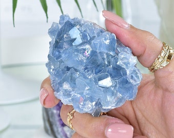 Crystals | Celestite Crystal | Healing Crystal |  Celestite Cluster | Raw Celestite | Blue Celestite l Celestite Geode