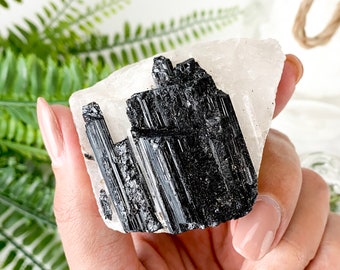 May include: A black tourmaline crystal cluster on a clear quartz point. The crystal is a dark black color and has a rough, natural texture. The quartz point is clear and has a smooth, polished surface.
