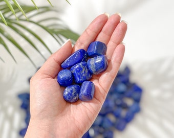 Lapis Lazuli Tumbled Stone | Free Crystals With Two Items | Lapis Lazuli | Lapis Lazuli Stone | Healing Crystals and Stones
