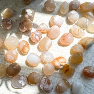 Flower Agate Tumbled Stones: Emotional Healing, Root & Heart Chakra