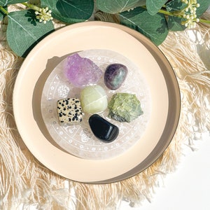 Capricorn Zodiac Crystal Set with Zodiac Selenite Charging Plate: Amethyst, Serpentine, Fluorite, Jade, Onyx, & Dalmatian Jasper