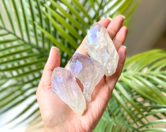 Pode incluir: Três pontas de cristal de quartzo branco iridescente com um brilho arco-íris. Os cristais são mantidos em uma mão contra um fundo de folhas verdes.