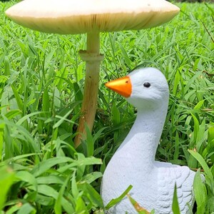 the goose is small