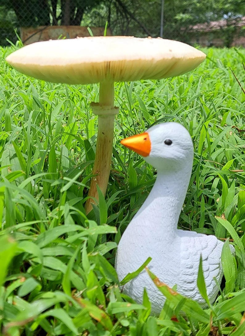 the goose is small