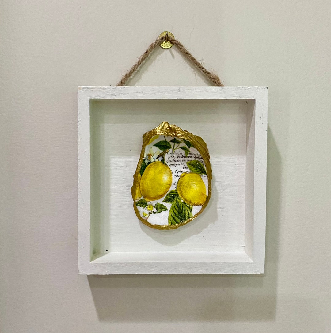 Oyster Shell 4x4 Shadow Box Wall Hanging | Wall Decor | Coastal Design ...