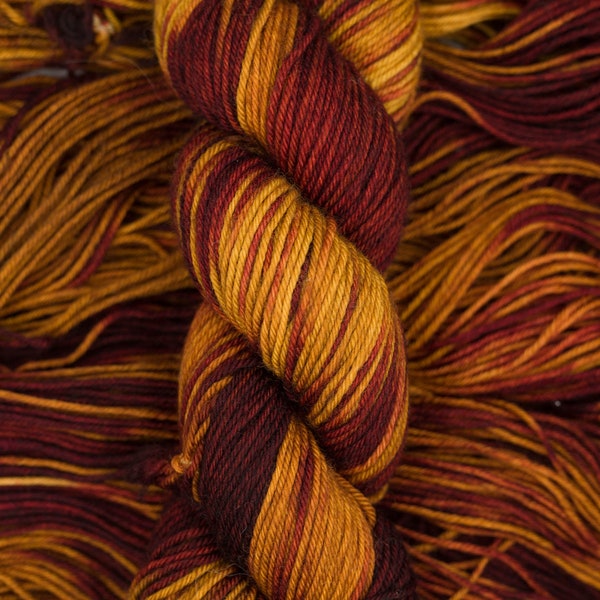 Hand-Dyed Yarn || BFL DK  || Altamira