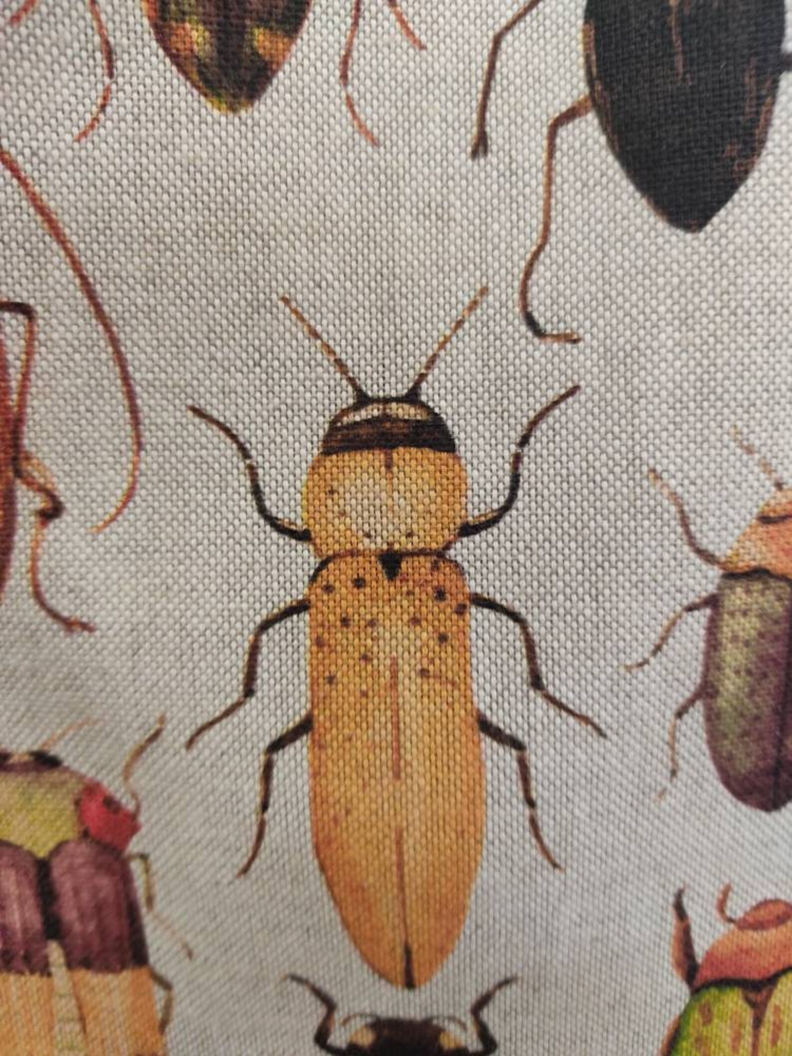 Fly pillow bug pillow beetle pillow cover neutral pillow Etsy