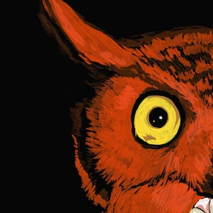 May include: Close-up of an owl's eye, with a bright yellow iris and a black pupil. The owl's feathers are a vibrant orange-red color.